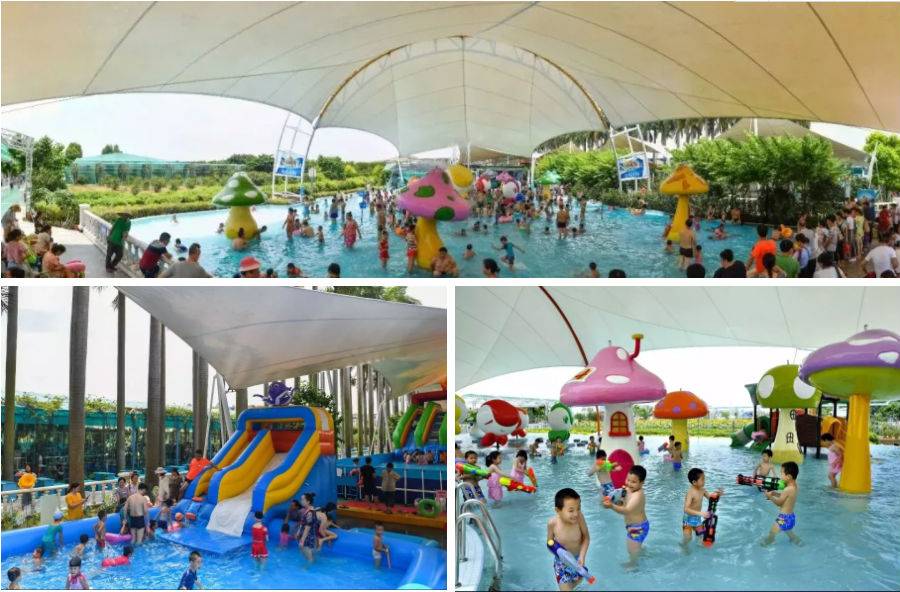 去百万葵园旅游,带小孩去百万葵园玩