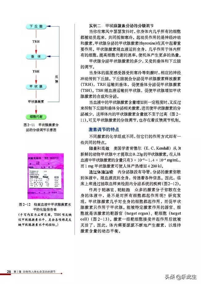 高中生物必修3电子教材,必修三稳态与环境的知识点人教版
