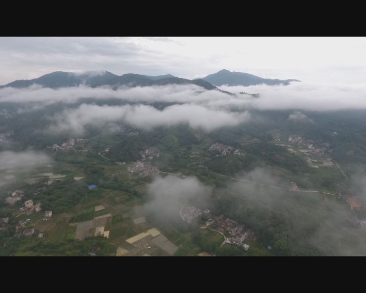 特色产业带动贫困户,特色产业助推脱贫致富