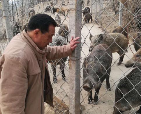 乔书志:农民身边的科技扶贫特派员