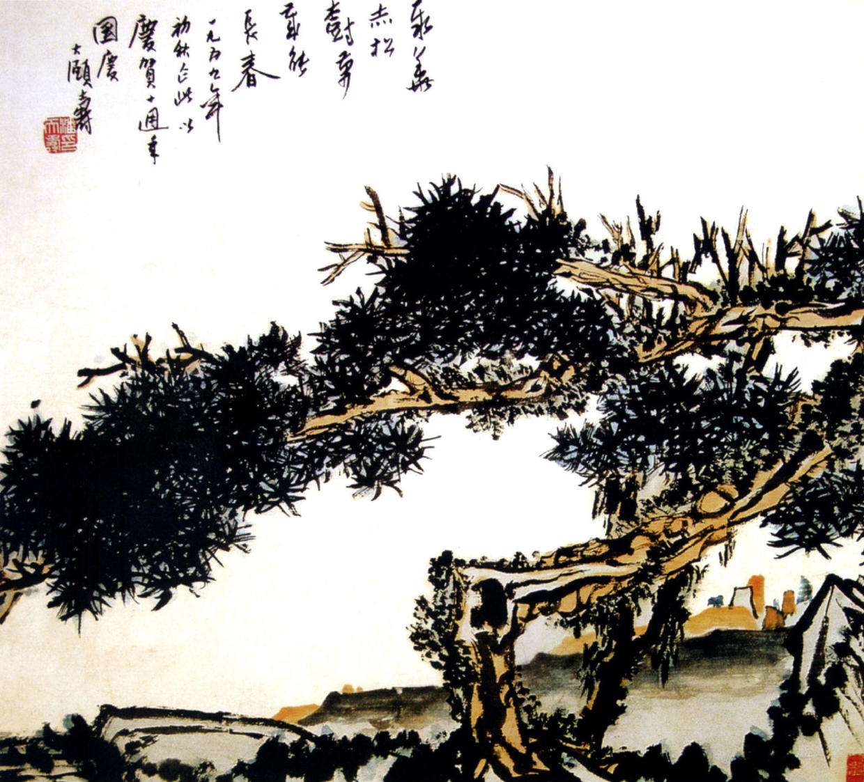 怎样去欣赏一棵罗汉松的美呢,如何欣赏一棵松树盆景呢