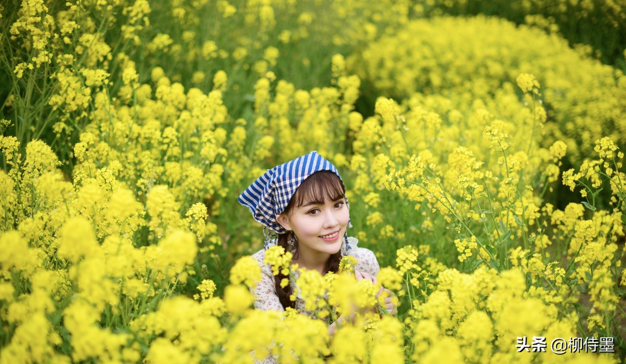 外景油菜花拍照片怎么拍出高级感,逆光油菜花拍照姿势