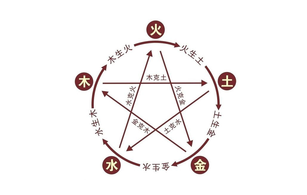 养龙鱼有什么风水讲究,风水龙鱼养几条比较好