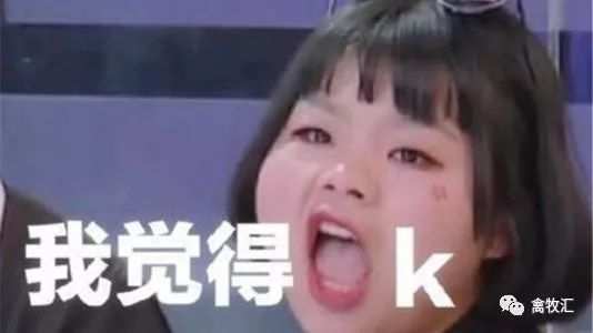 鸡养殖几个月出栏好卖吗,养殖什么鸡不愁销路