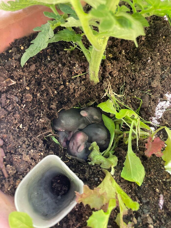 外国网友分享的风景,国外网友分享的风景