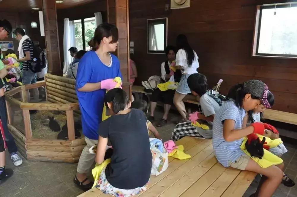 日本顶级农业农场,日本田园农场排行榜