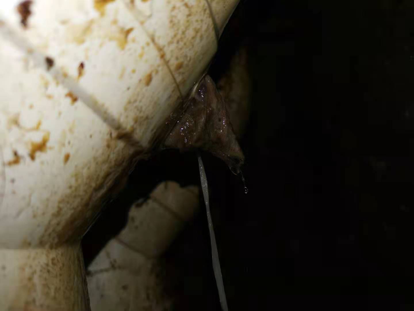 卫生间暗管漏水处理方法,卫生间暗管漏水如何处理