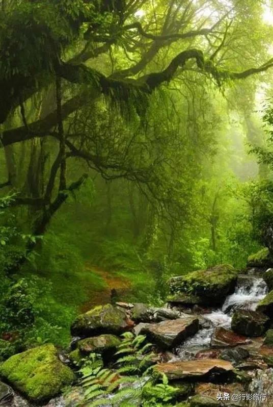 云南的西双版纳州怎么样,云南西双版纳景区怎么样