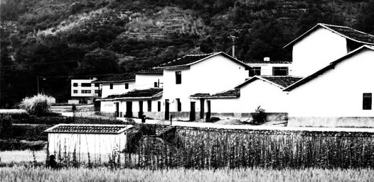 王受之说设计师与艺术家,设计师王受之讲座