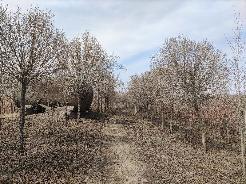 乌鲁木齐免费玩的地方运动场地,乌鲁木齐游玩适合烧烤的地方