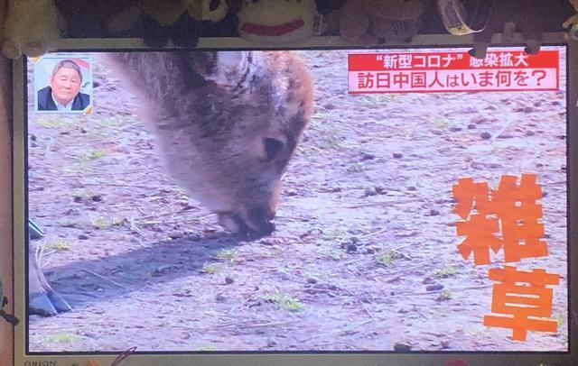 世界各地如果没有中国游客,该有多无聊