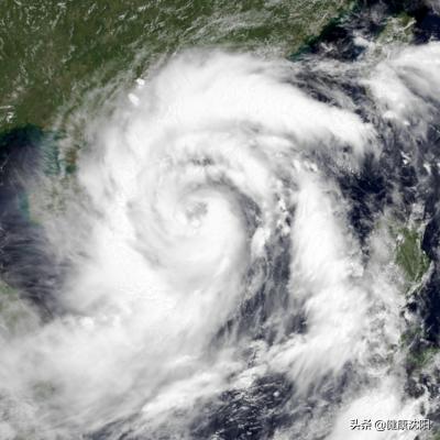 基本公共卫生与健康科普知识,宣传卫生健康知识事件