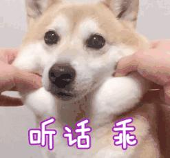 2019钢管舞国家队资格赛,钢管舞国家队资格赛