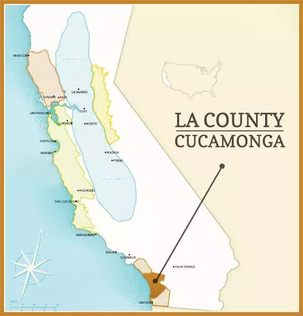 紫水晶葡萄品种,葡萄品种大全及英文