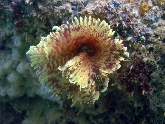 距海南仅20km，这个处女地比台湾风情、比三亚便宜，你错过了吗？