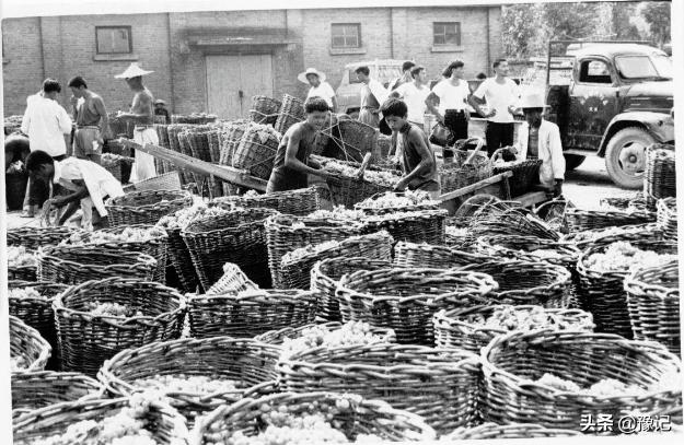 民权县喝酒,喝民权红酒