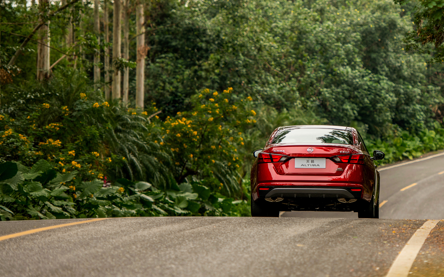 cvt变速箱到了七八万公里一个通病,买cvt不如买手动