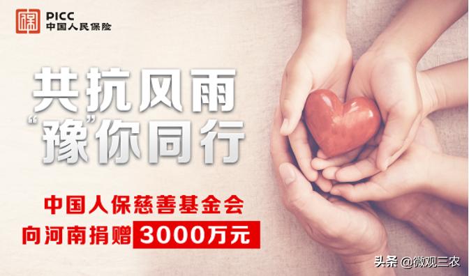 政策性农业保险承保理赔服务方案,农业大灾保险与农业巨灾保险