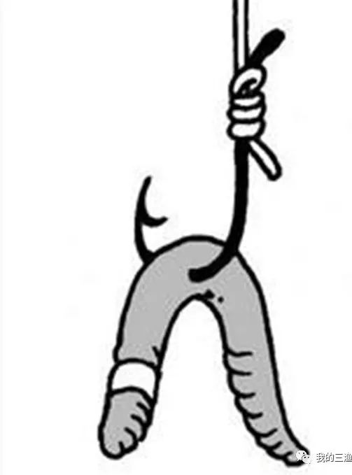 蚯蚓钓鱼挂头还是尾,挂蚯蚓钓鱼绝密配方