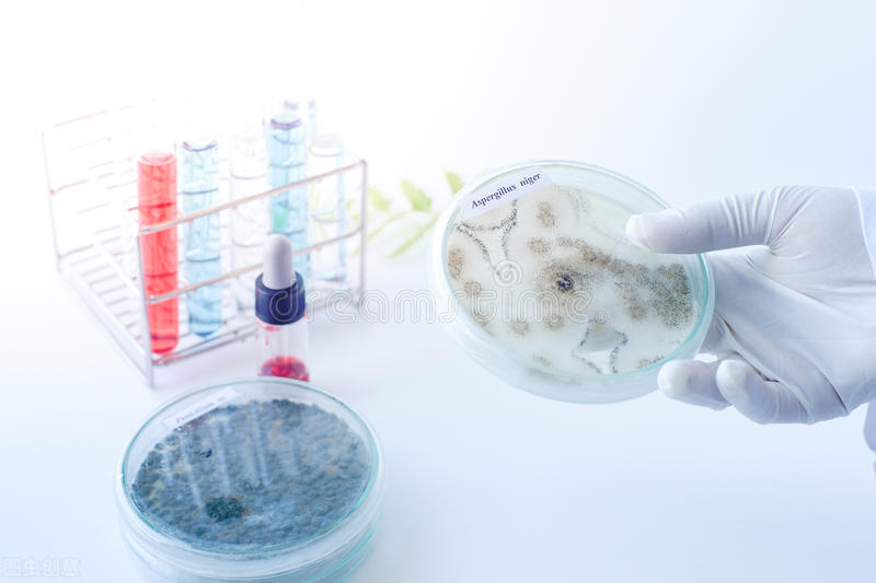 戴隐形眼镜刺痛流眼泪睁不开,戴隐形眼镜眼角流脓