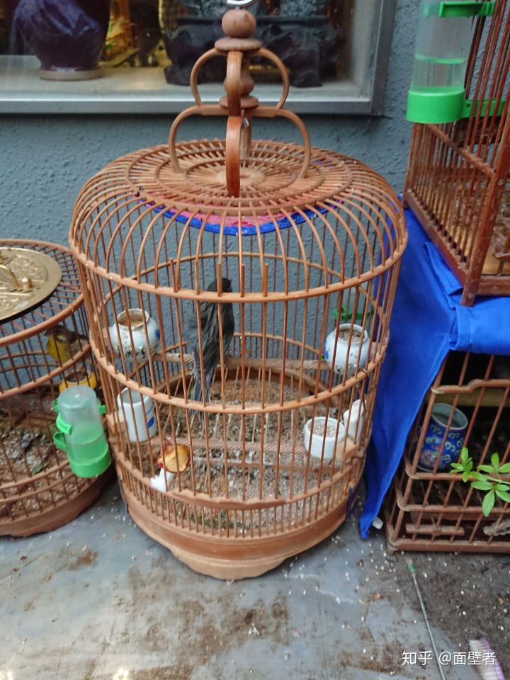 真实的苏州城市,真实的苏州相亲市场