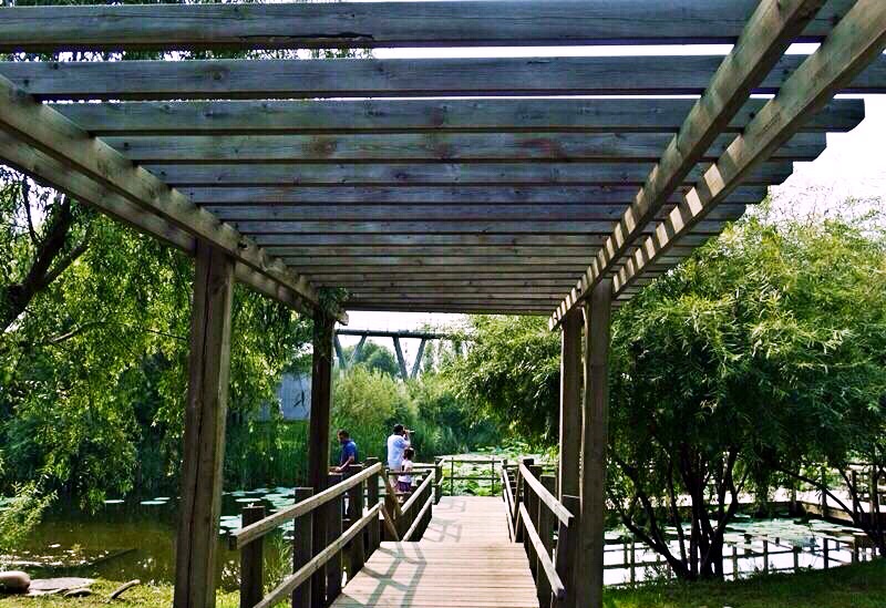 哈尔滨市内环境,哈尔滨一年四季的现状