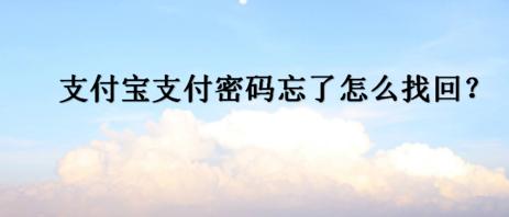 支付宝支付密码忘了怎么办苹果,支付宝支付密码忘了怎么办视频