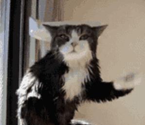 今天大风降温天气预报,大风降温要来啦