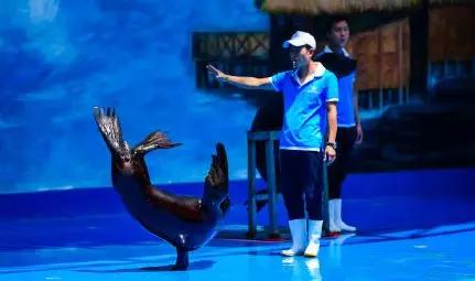 昆明亲子乐园游玩攻略,昆明周边游童话世界亲子乐园