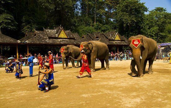 云南十六州市高校,彩云之南云南高校