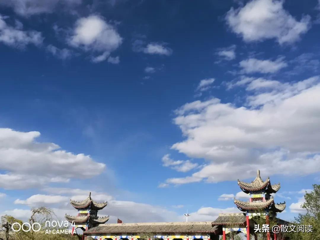 用手机看散文,散文手机