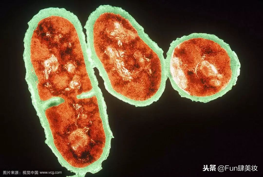 长痘怎么才能不留痘坑,痘肌自救方法视频