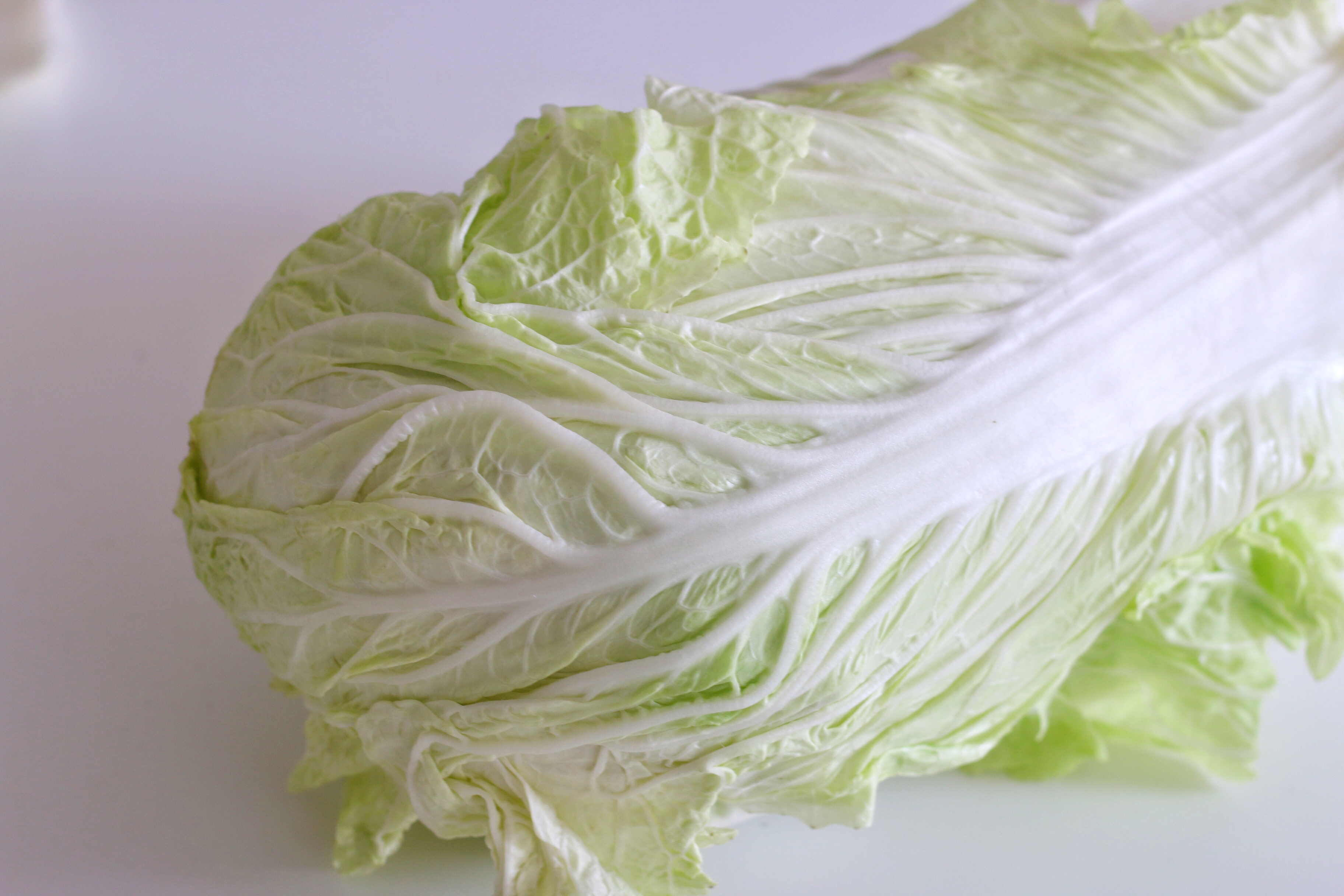 东北酸菜的腌制方法酸菜炖粉条,想吃老坛酸菜怎么做法