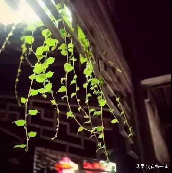 南怀瑾谈做人要认真,南怀瑾为人处世经典语录