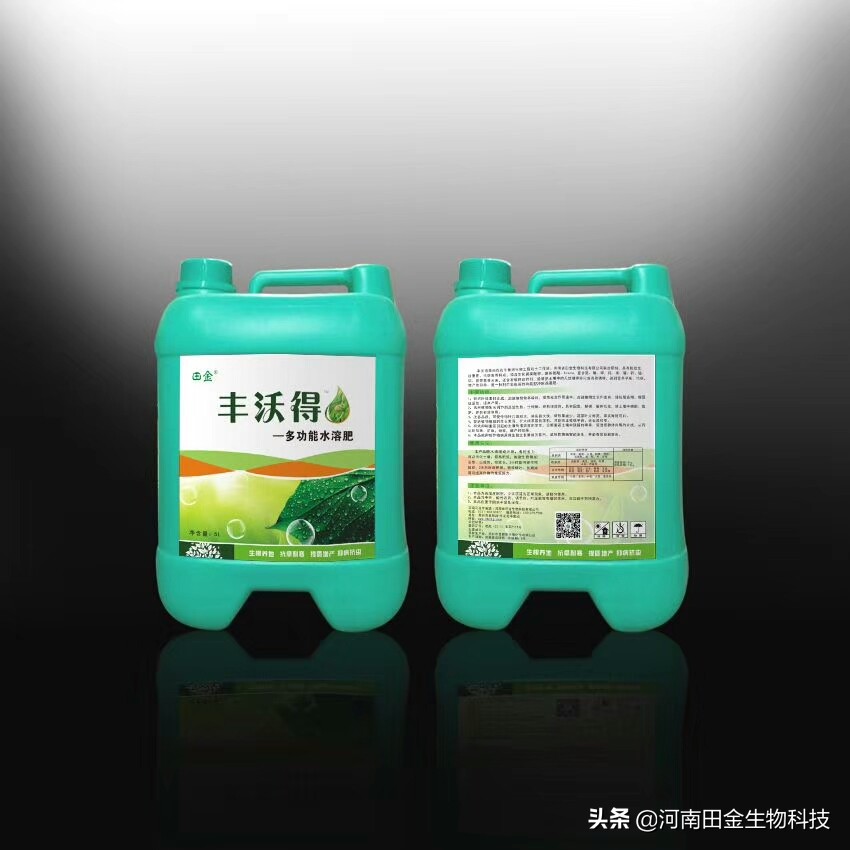 水稻结实期间管理措施