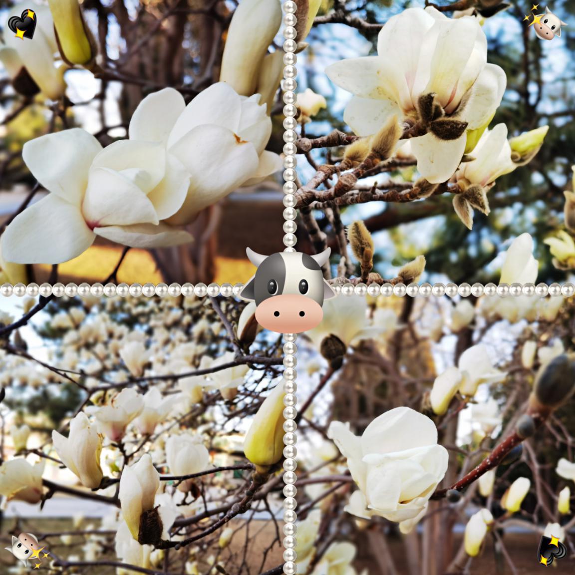 北京的园子有哪些,记忆中的老北京公园