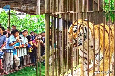 盘点茂名40个好玩的景点，茂名旅游景点大全就在这里了