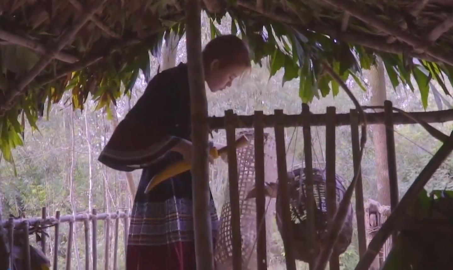 漂亮的野外烤鱼,野外吃美味烤鱼