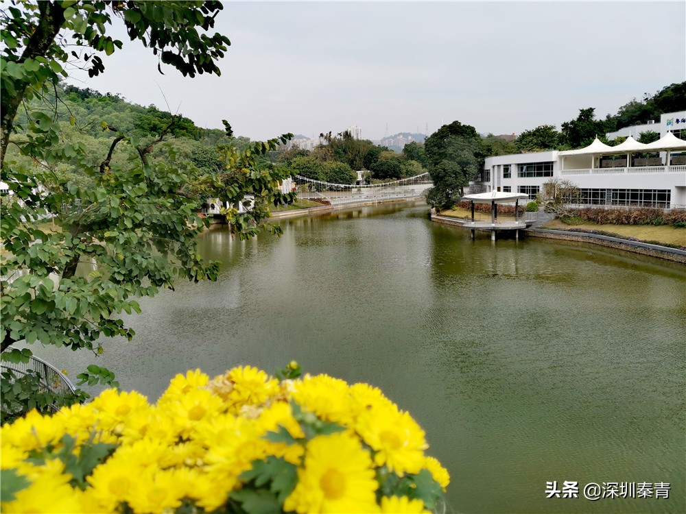 深圳老牌东湖公园,东湖公园的景区