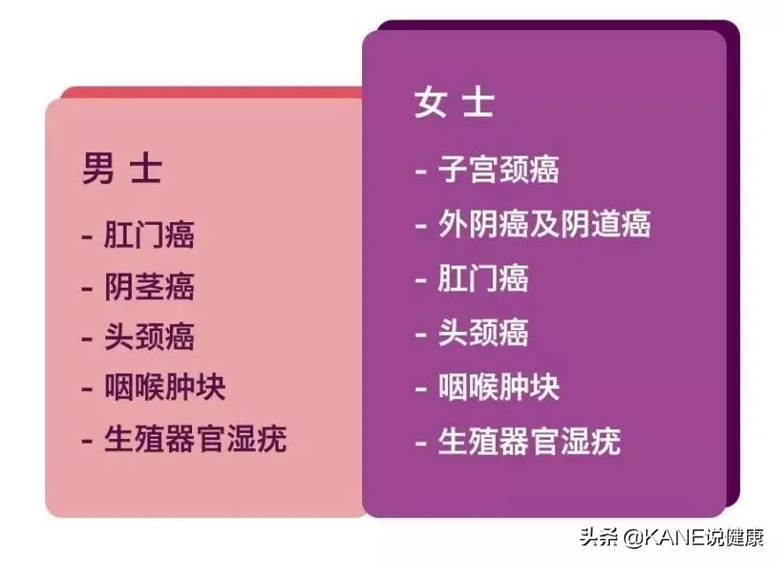 hpv高危1618阳性得宫颈癌的几率,免疫系统消灭hpv