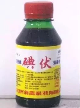 我的生活小窍门文章,我的生活小窍门450字作文大全