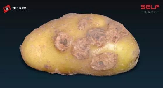 微生物降解塑料,生物塑料可以被微生物降解吗