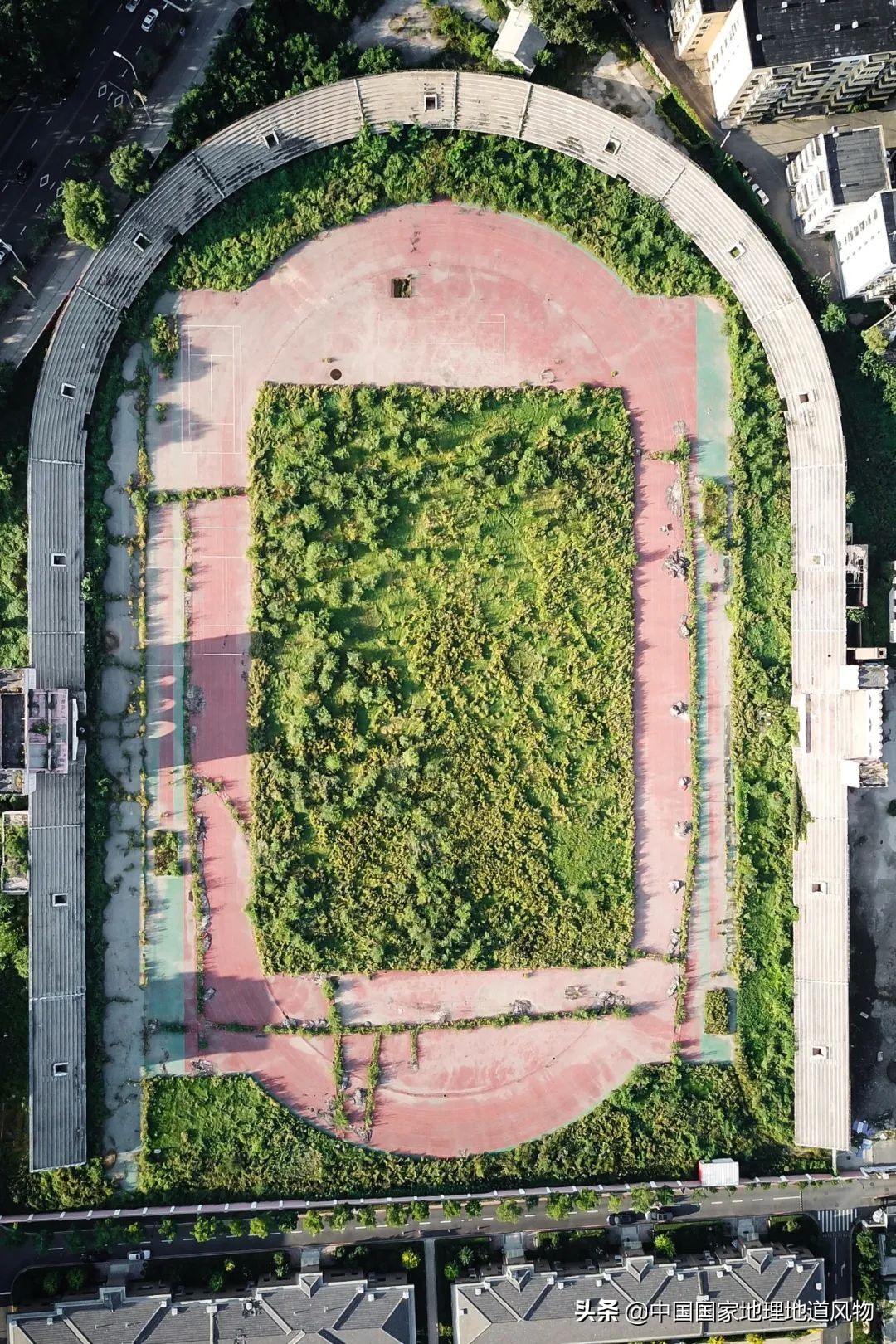 中国奥运冠军最多的是哪个城市,盛产奥运冠军的浙体院