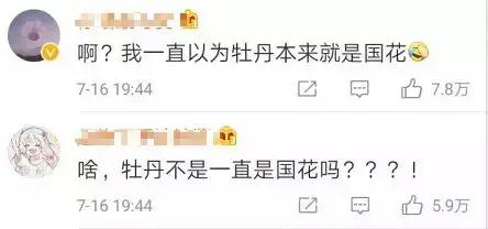 我们要评“国花”了！网友又吵翻了天！你pick哪种？