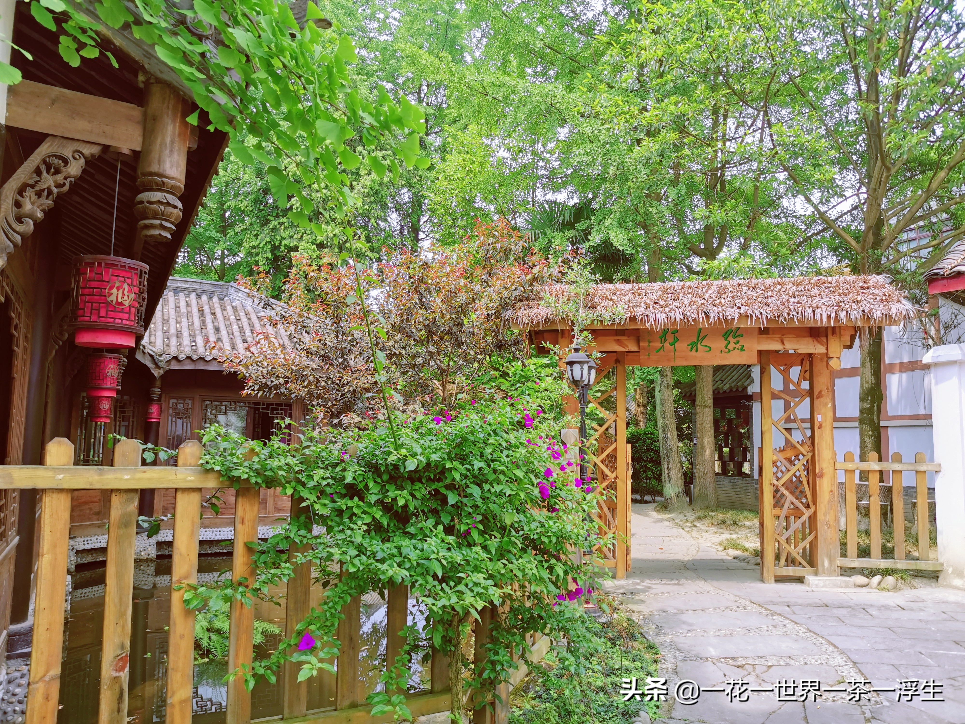 寻找巴适的成都小院(2)