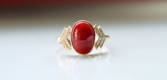 买珊瑚，看这篇就足够了~