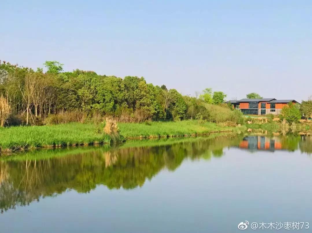 成都值得去的免费景点,成都景点小众游乐场