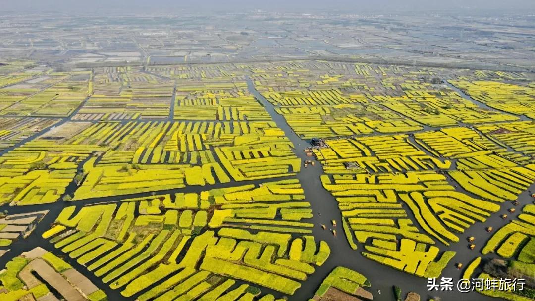 江苏省兴化市垛田,兴化市到千垛油菜花景区怎么走