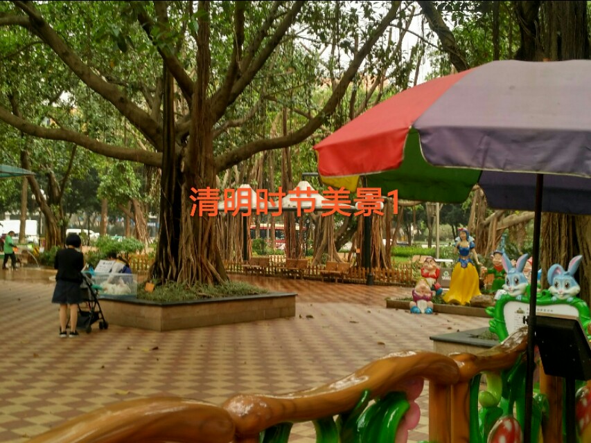 枫林诗苑落花诗句,枫林诗苑古诗