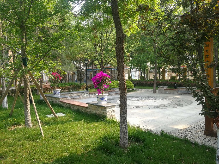 阳光学校为什么有规矩,阳光学校特色课